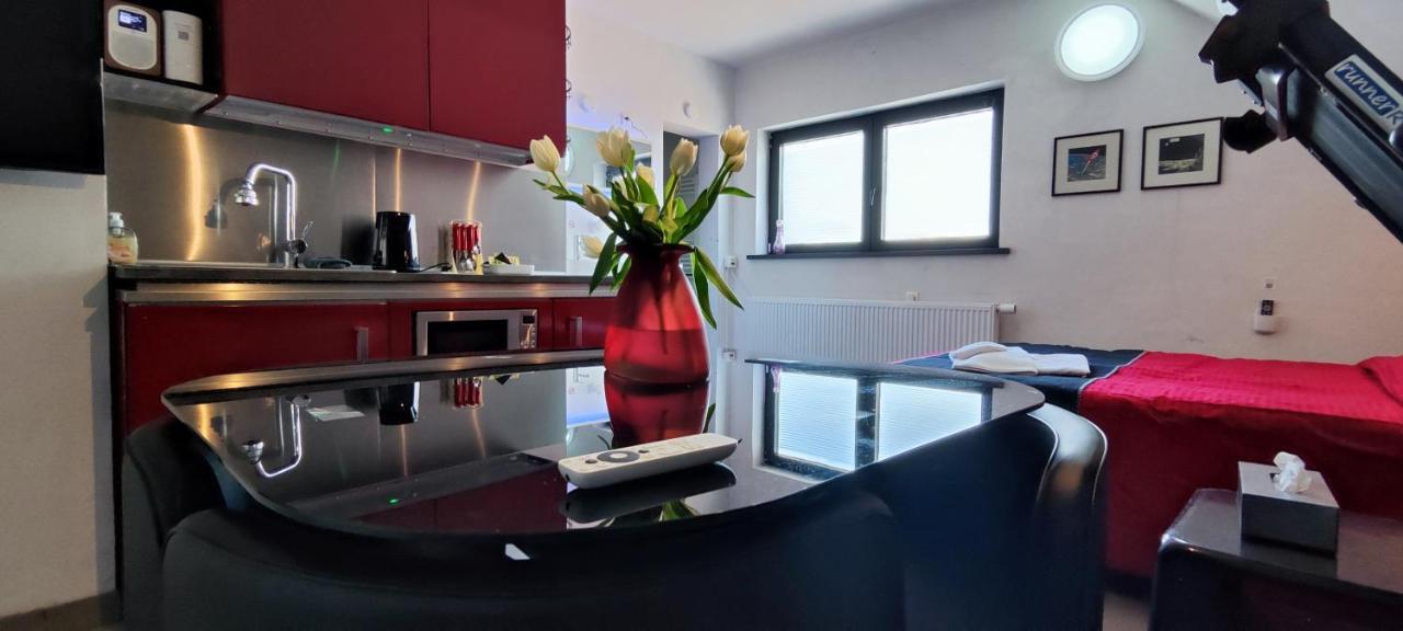 Logeerkamer Xxl 25 M2 Zemst Exterior photo